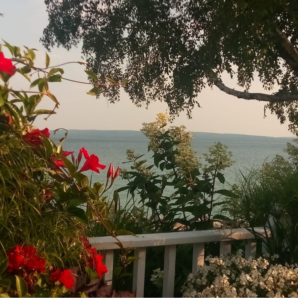 Meet your Posher, Dora